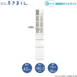 X܂@G^Cvkl15-30/s42cmiEJj@SSD-G3R-15/30 D42 Ԏ[ 15cm I[_[ YƋ