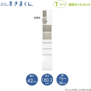 X܂@T^Cvkl15-30/s42cmiEJj@SSD-TSR-15/30 D42 Ԏ[ 15cm I[_[ YƋ
