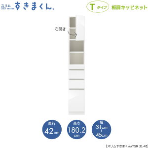 X܂@T^Cvkl31-45/s42cmiEJj@SSD-TSR-31/45 D42 Ԏ[ 15cm I[_[ YƋ