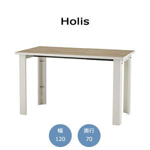 �z���X�@ FZ-TH1201�@�f�X�N/��120/���s70�y�I�t�B�X/�z�[���I�t�B�X/�g�ݍ��킹/4�F/�T�C�Y�F�X/F��������/���{��/Holis/�o���o�[�j�z