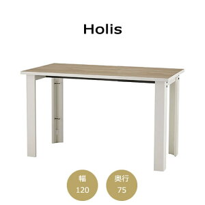 �z���X�@ FZ-TH1202�@�f�X�N/��120/���s75�y�I�t�B�X/�z�[���I�t�B�X/�g�ݍ��킹/4�F/�T�C�Y�F�X/F��������/���{��/Holis/�o���o�[�j�z