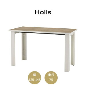 �z���X�@ FZ-TH1252-1452�@�f�X�N/���I�[�_�[/���s75�y�I�t�B�X/�z�[���I�t�B�X/�g�ݍ��킹/4�F/�T�C�Y�F�X/F��������/���{��/Holis/�o���o�[�j�z