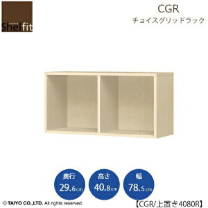 �`���C�X�O���b�h���b�N�@CGR�@��u��4080R�k���s29.6cm�l�y���ړI���b�N/�I�[�v�����b�N/���r���O���[/�I�t�B�X/�V���b�v/��m�z