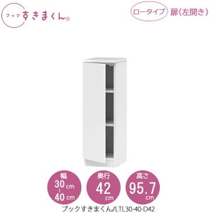 ubN܂@BSD LTL30-40/D42 rO  I ǖʎ[ g