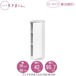 ubN܂@BSD LTR30-40/D42 rO  I ǖʎ[ g