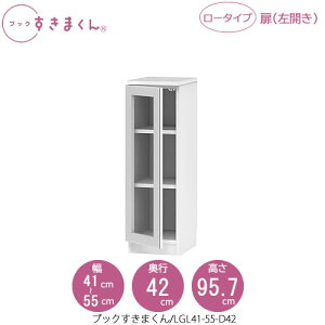 ubN܂@BSD LGL41-55/D42 rO  I ǖʎ[ g