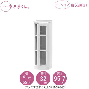 ubN܂@BSD LGR41-55/D32 rO  I ǖʎ[ g