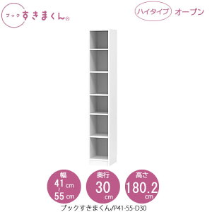 ubN܂@BSD P41-55/D30 rO  I ǖʎ[ g