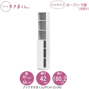 ubN܂@BSD PTL41-55/D42 rO  I ǖʎ[ g