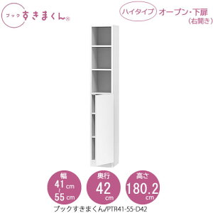 ubN܂@BSD PTR41-55/D42 rO  I ǖʎ[ g