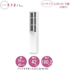 ubN܂@BSD GTL30-40/D42 rO  I ǖʎ[ g