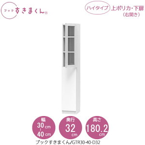 ubN܂@BSD GTR30-40/D32 rO  I ǖʎ[ g