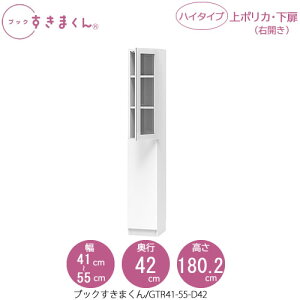 ubN܂@BSD GTR41-55/D42 rO  I ǖʎ[ g