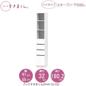 ubN܂@BSD PH41-55/D32 rO  I ǖʎ[ g