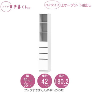 ubN܂@BSD PH41-55/D42 rO  I ǖʎ[ g