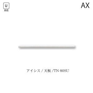 jbgHI@ACVX@V/TN-80SU 쐻쏊 nCXybN AX