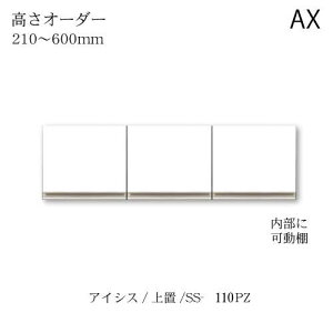 jbgHI@ACVX SS-110PZI[_[u 쐻쏊 nCXybN AX