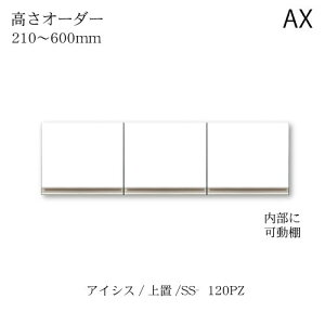 jbgHI@ACVX SS-120PZI[_[u 쐻쏊 nCXybN AX