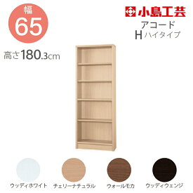 小島工芸 本棚 低ホルム アコード65H ハイタイプ 【特注】国産書棚 耐震機能 頑丈組立不要 完成品 幅65 奥行30 高さ180