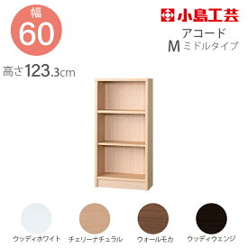 小島工芸 本棚 低ホルム アコード 60M ミドルタイプ 国産書棚 耐震機能 頑丈組立不要 完成品 幅60 奥行30 高さ123
