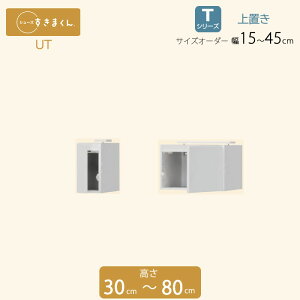 V[Y܂ u 15`45 ֎[ V[Y{bNX UT