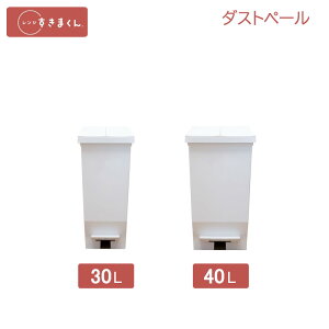 W܂ IvV _Xgy[ 30LE40L