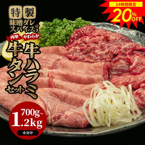 ＼10日限定20％OFF！／ハラミ 焼肉 焼肉セット バーベキュー 肉 バーベキューセット BBQ 肉 牛タン 焼き肉 