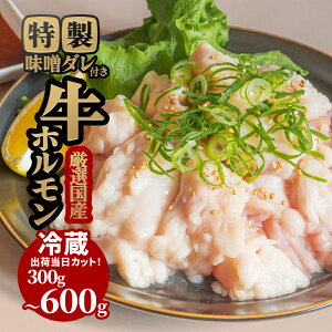 z z ē   Y ① 300g 600g ^t BBQ BBQZbg o[xL[ o[xL[Zbg ēZbg Zbg zĂ z   Mtg 