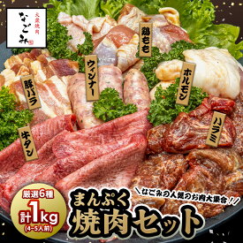 まんぷく焼肉セット 焼肉セット ファミリーセット メガ盛り 牛ハラミ 牛タン ホルモン 豚バラ やわらか ハラミ 焼肉 肉 牛肉 1kg 冷凍 スパイス 味噌ダレ付 厚切り 肉厚 バーベキュー 肉 バーベキュー肉 セット BBQ お取り寄せ おうち焼肉 GW
