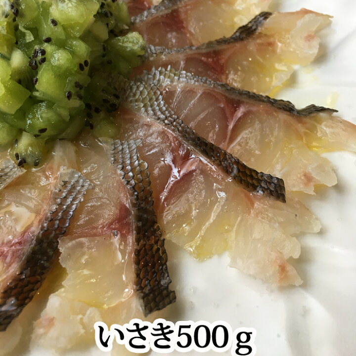 楽天市場 イサキ 500g 愛媛県 八幡浜産 もしくは 大分県産 下関 いさき 伊佐木 刺身 ４ ５人前 瀬戸内たいたいｃｌｕｂ
