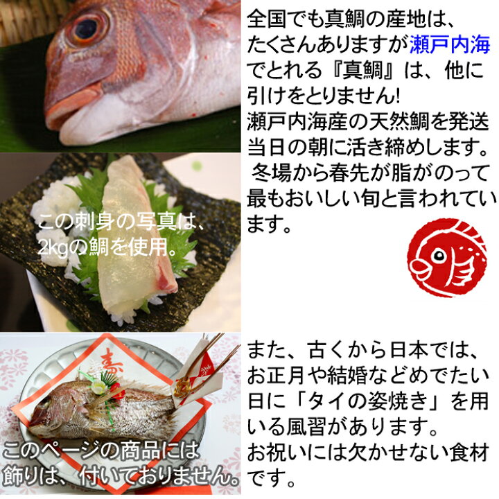 楽天市場 鯛 天然 瀬戸内海産 800g タイ たい 活き締め 刺身 瀬戸内たいたいｃｌｕｂ