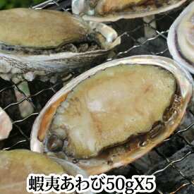 楽天市場 韓国 産 養殖 アワビの通販