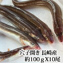 『穴子（あなご）開き（1尾100g前後 x 10本) 長崎県産』（アナゴ 国産 活き締め 生 寿司 ちらし 天ぷら てんぷら 蒲焼き 白焼き 丼ぶり 恵方巻 まとめ買い）