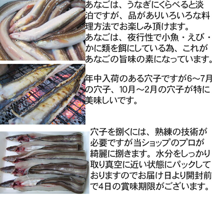 楽天市場 穴子 あなご 開き 1尾100g 前後 長崎県産 アナゴ 国産 活き締め 生 瀬戸内たいたいclub 楽天市場 穴子 あなご 開き 1尾100g 前後 長崎県産 アナゴ 国産 活き締め 生 瀬戸内たいたいclub