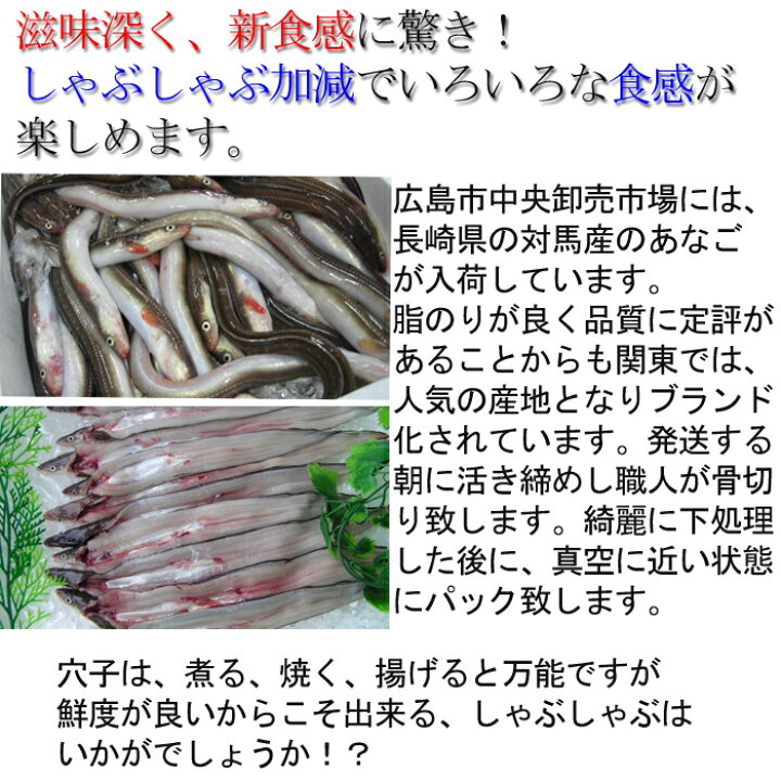楽天市場 お歳暮にどうぞ 長崎産 穴子 あなご アナゴ 骨切り済み しゃぶしゃぶ用 1尾100ｇ前後 国産 活き締め 生 骨お付け致します 0 5 1人前 瀬戸内たいたいｃｌｕｂ