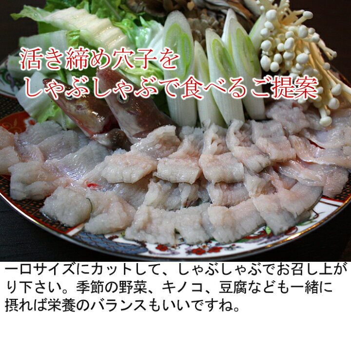 楽天市場 長崎産 穴子 あなご アナゴ 骨切り済み しゃぶしゃぶ用 1尾100ｇ前後 国産 活き締め 生 骨お付け致します 0 5 1人前 瀬戸内たいたいｃｌｕｂ