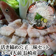 ＼夏のスタミナUPに！／『活き締め 国産 穴子三昧セット (3～4人前) 長崎県産 (冷蔵)』【送料無料】※焼…