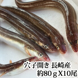 楽天市場 活き 穴子の通販 楽天市場 活き 穴子の通販