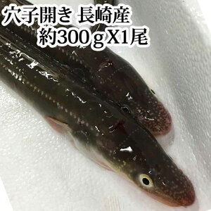あなご 生の通販 価格比較 価格 Com