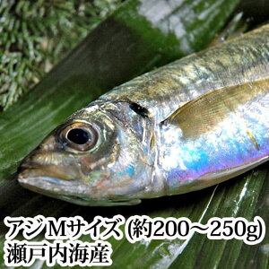 wAW MTCY 1i200`250gj˓CYx(  hg  N tC Ă ؒЂ)