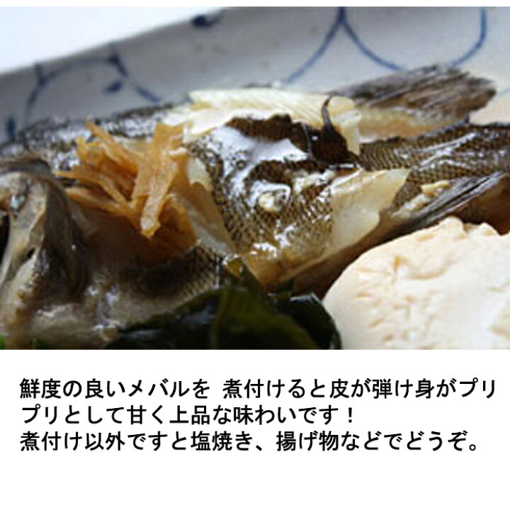 楽天市場 瀬戸内海産 メバル １尾130ｇ 加熱用 眼張 めばる 煮付け 煮魚 一匹付 瀬戸内たいたいｃｌｕｂ