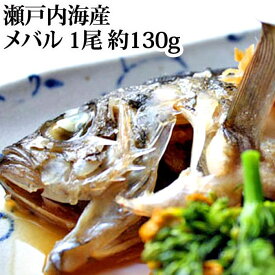 『メバル 1尾 約130g 加熱用 瀬戸内海産 (冷蔵)』(眼張 めばる 煮付け 煮魚 一匹付 鮮魚)