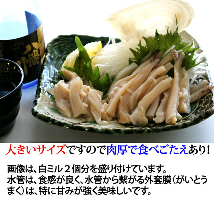 貝 ミル貝 みる貝 天然 大2ｋｇ お刺身 活みる貝