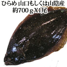 楽天市場 天然ヒラメ 刺身の通販