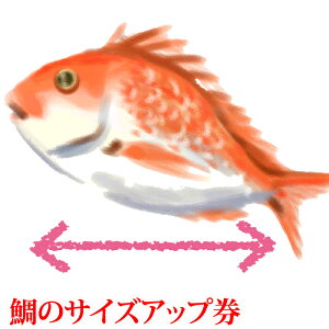 w̃TCYAbvuH߁iSjjZbgv̑px100gAbvƂ̋zɂȂ܂B(VR  ^C 100j jV)