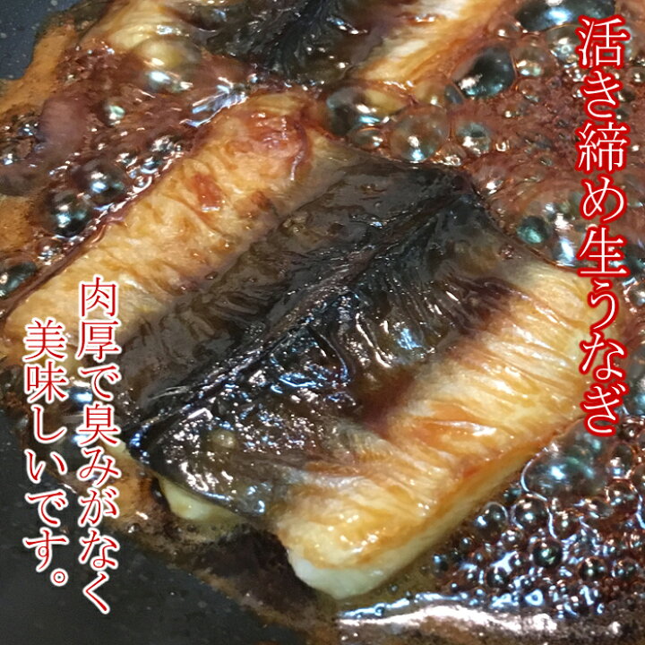 楽天市場 生 うなぎ 活き締め 1尾約300ｇ 骨 肝 タレ 付き 愛知県産 養殖 バーベキュー にも 鰻 ウナギ 瀬戸内たいたいｃｌｕｂ