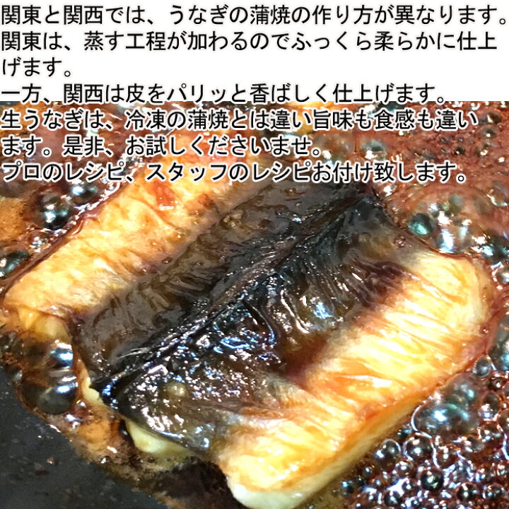楽天市場 生 うなぎ 活き締め 1尾約300ｇ 骨 肝 タレ 付き 愛知県産 養殖 バーベキュー にも 鰻 ウナギ 瀬戸内たいたいｃｌｕｂ