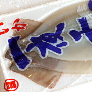 _̂܂݂ɁI^w銱 MTCY 10 (5pbN X 2) (Ⓚ)xyzVstI (CJ  G ^)