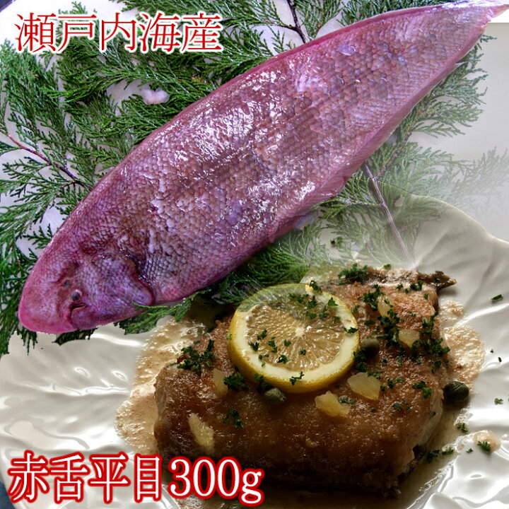 楽天市場 赤舌平目 約300g 瀬戸内海産 2人前 レンチョウカレイ れんちょう かれい したびらめ シタビラメ 瀬戸内たいたいclub 楽天市場 赤舌平目 約300g 瀬戸内海産 2人前 レンチョウカレイ れんちょう かれい したびらめ シタビラメ 瀬戸内たいたいclub