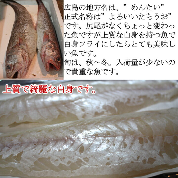 楽天市場 よろいいたちうお メンタイ 長崎産 1尾800 4人前 加熱用 めんたい ヨロイイタチウオ 瀬戸内たいたいｃｌｕｂ